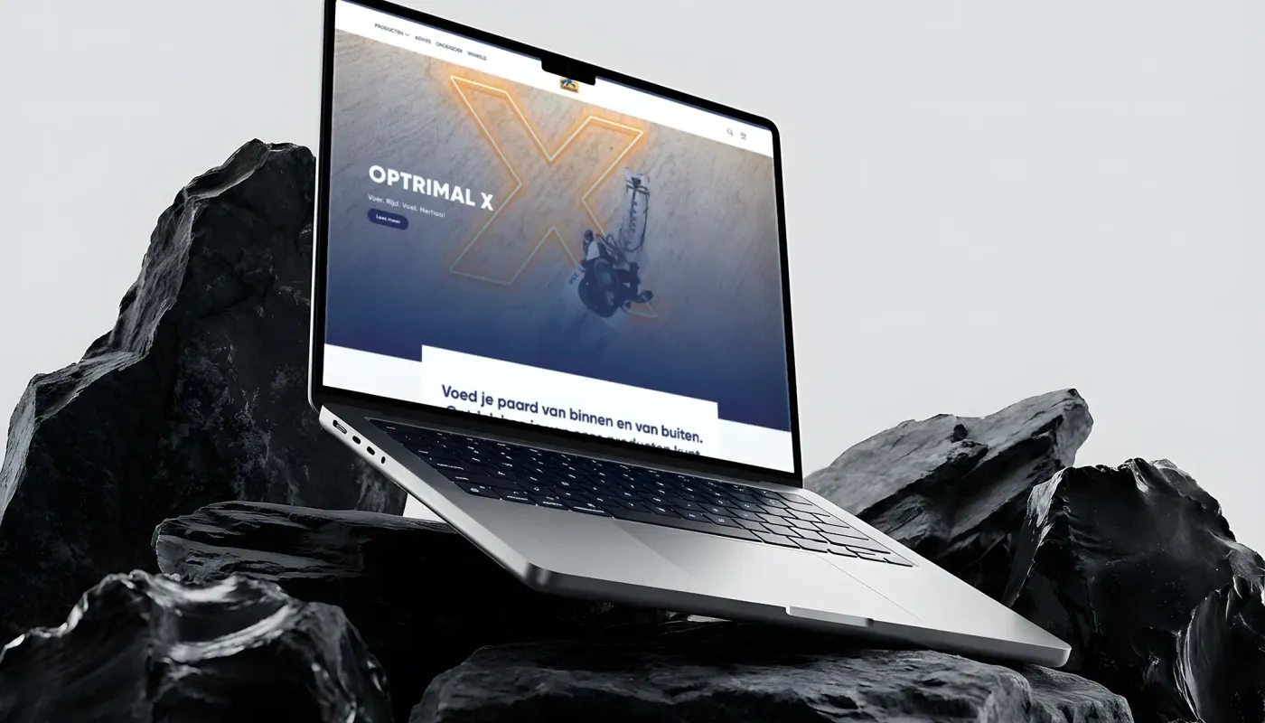 Cavalor: a platform for five languages