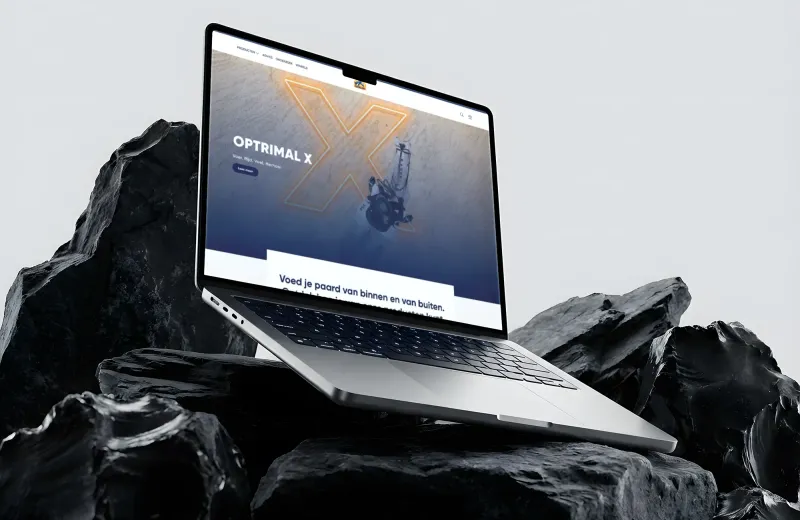 Cavalor: a platform for five languages