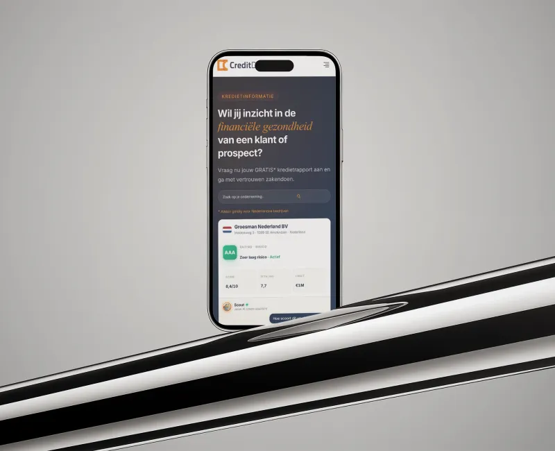 Detail of the website for CreditDevice, 1